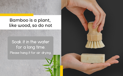 Cervora Natural Dish Brush
