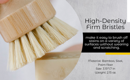 Cervora Natural Dish Brush